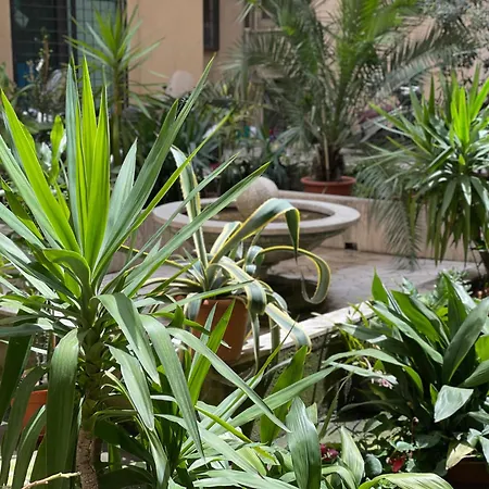 Pensión Sweet Vatican 4*